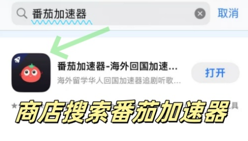 澳洲双生视界加速器教程